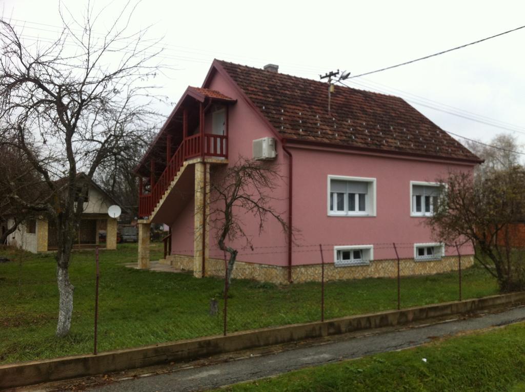 Anka Ratkovica